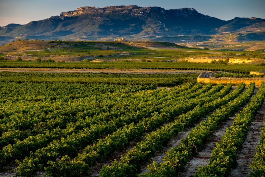 San Vicente de la Sonsierra, Rioja Alavesa, Spanien