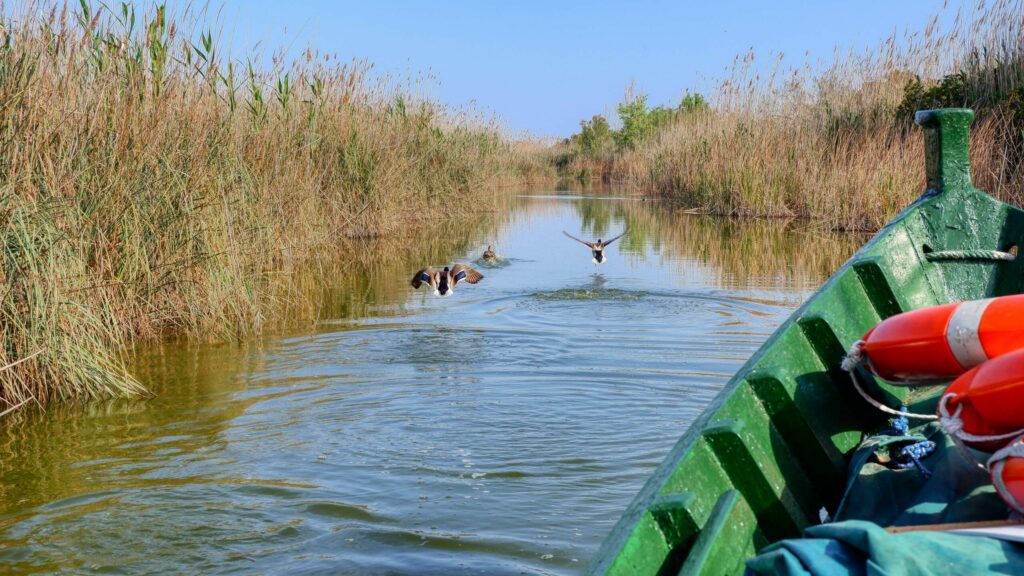 Bootstour durch den Naturpark Albufera
