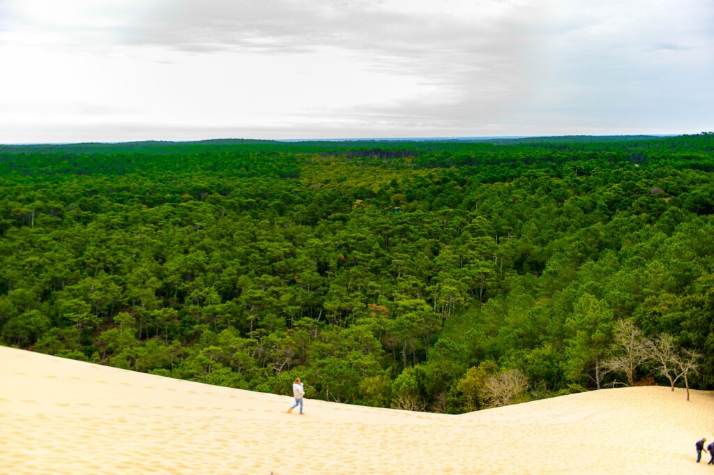 Dune of Pilat (Grande Dune du Pilat), die höchste Sanddüne in Europa. Und ein grüner Wald