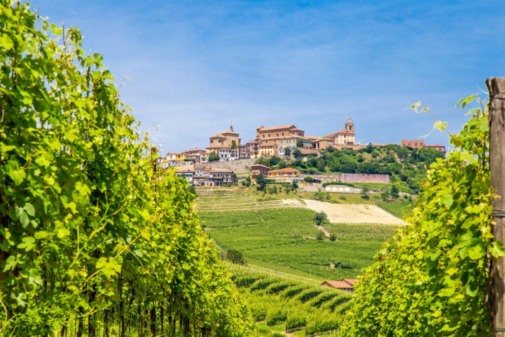 I vigneti di La Morra nelle Langhe