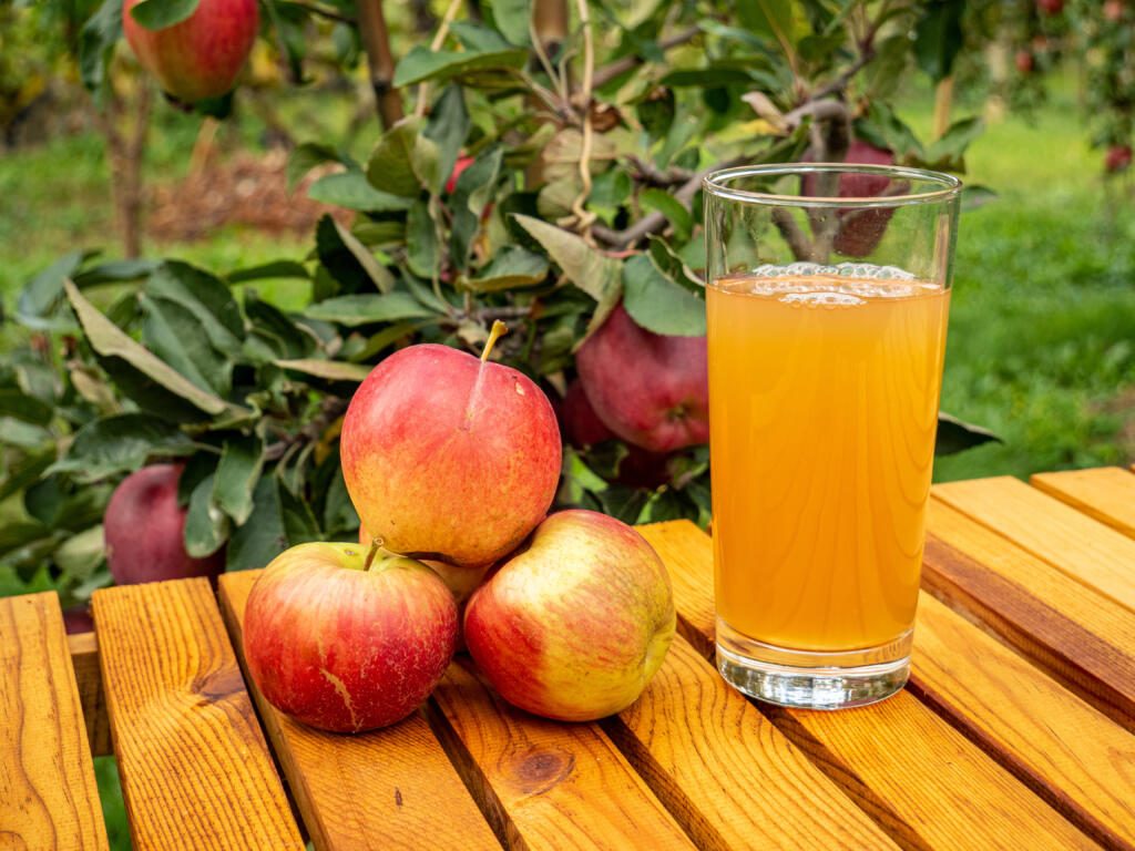 Glas Apfelsaft und Früchte