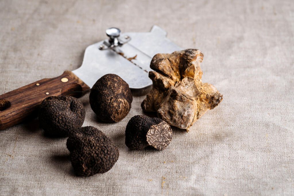 Frischer aromatischer Sommer, ganz und teilweise geschnippelt, Schwarze Trüffel, Weiße Trüffel mit Schäler oder Slicer auf rustikalem Stofftuchhintergrund. Expensive Gourmet Zutat. Schließen Sie sich an. Warmer Erdton.